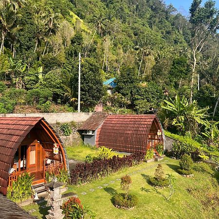 Villa Lumbung Ayu Sari & Spa Карангасем Экстерьер фото