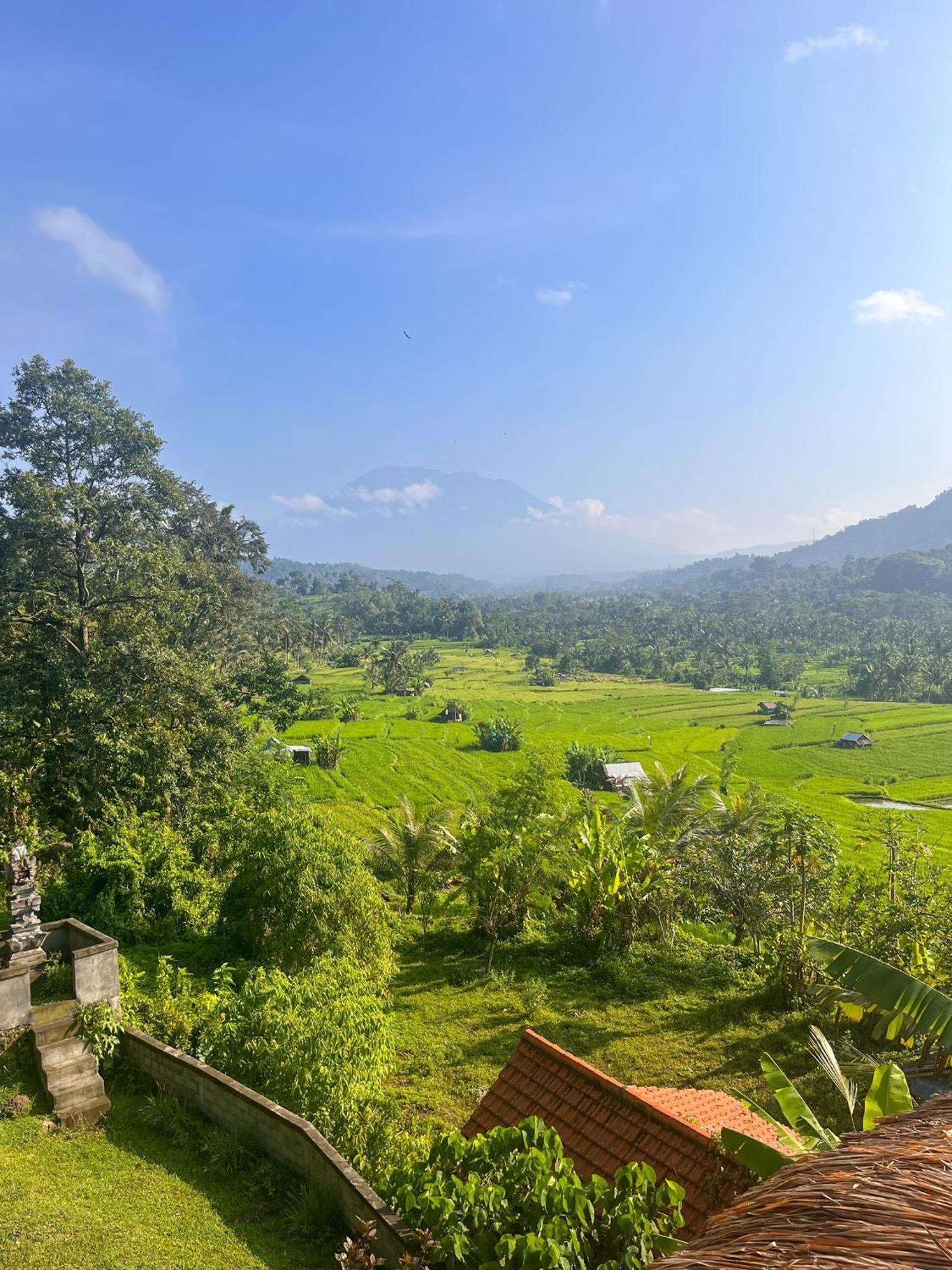Villa Lumbung Ayu Sari & Spa Карангасем Экстерьер фото
